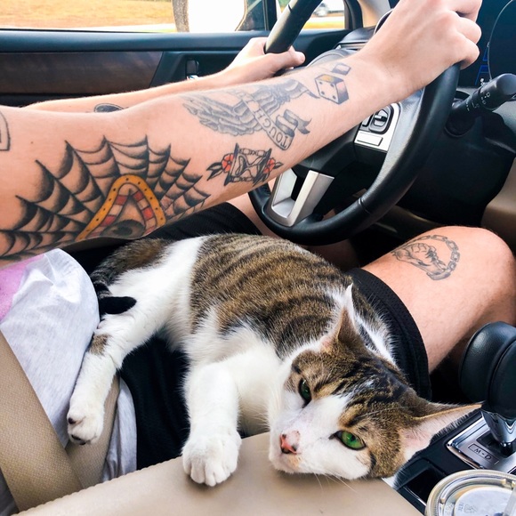 Meet your Posher, Kat - Picture 4 of 5